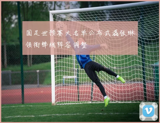 国足世预赛大名单公布武磊张琳芃领衔锋线阵容调整